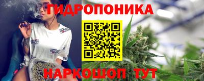 гидропоника Будённовск