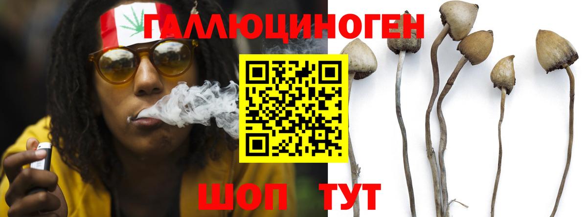 Псилоцибиновые грибы Psilocybine cubensis  Вход с VPN  Мытищи 